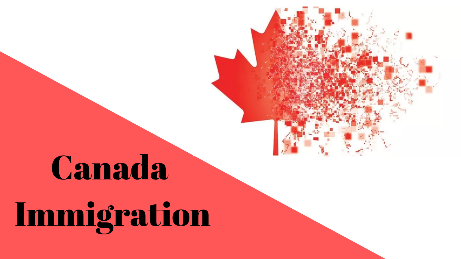 Canada Immigration Best Canada Immigration Consultants In Delhi 0095